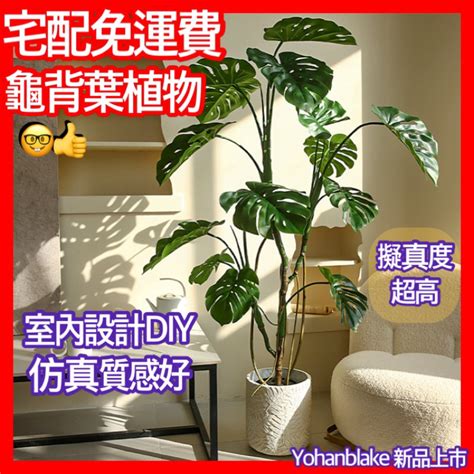 風水 假植物|【家中假樹風水】假綠植的風水講究 